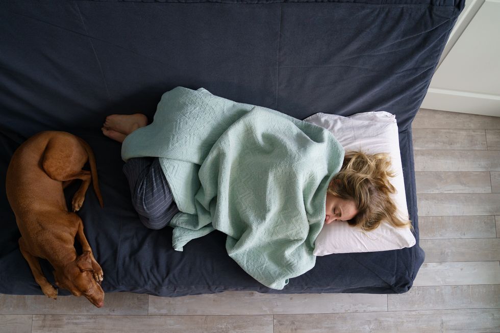 tired woman sleep on sofa near comforting dog, top view single or divorced female suffer depression