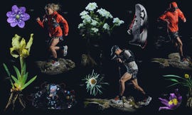 the nort face summit series flora alpina