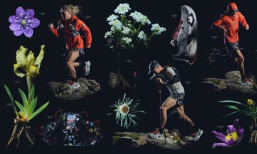 the nort face summit series flora alpina
