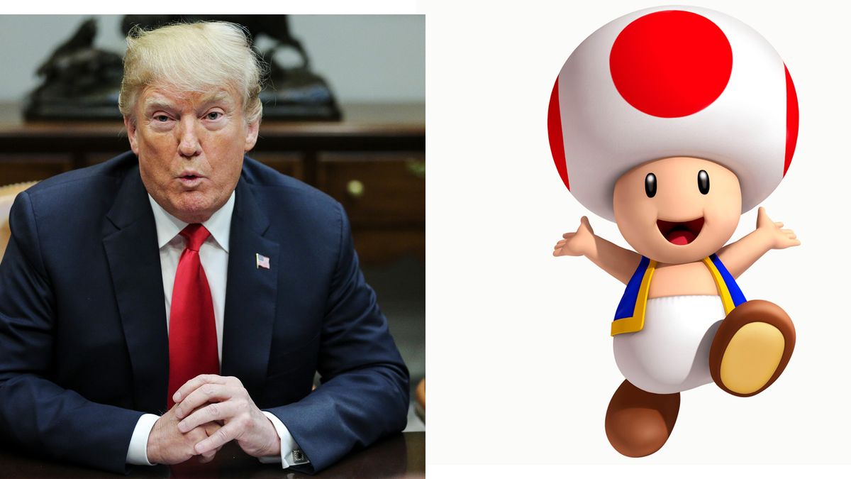 Tiny Sleeping Anal - Stormy Daniels Says Donald Trump's Penis Looks Like a Mushroom In New Book