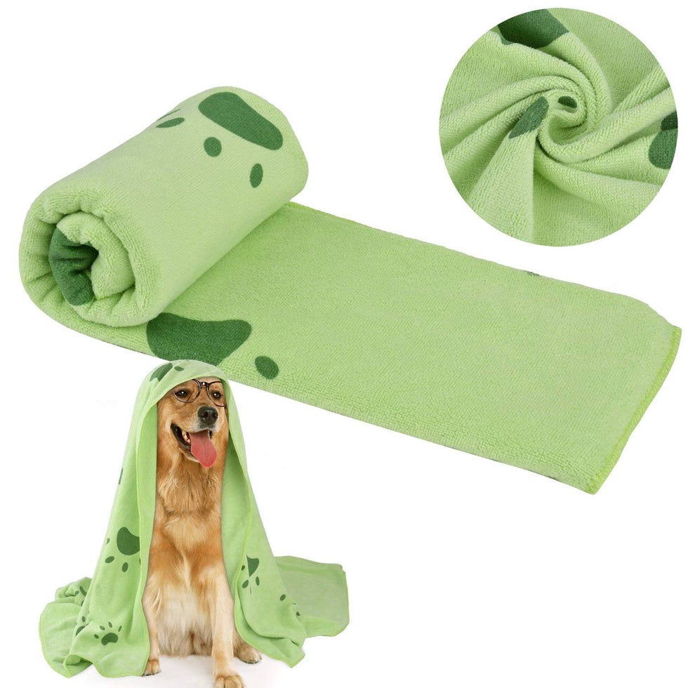Toalla absorbente para perros