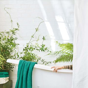baño con bañera con patas y decorado con plantas