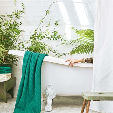 baño con bañera con patas y decorado con plantas
