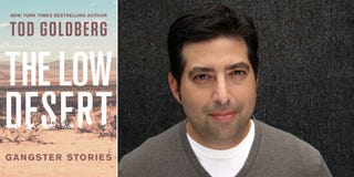 tod golderg, the low desert