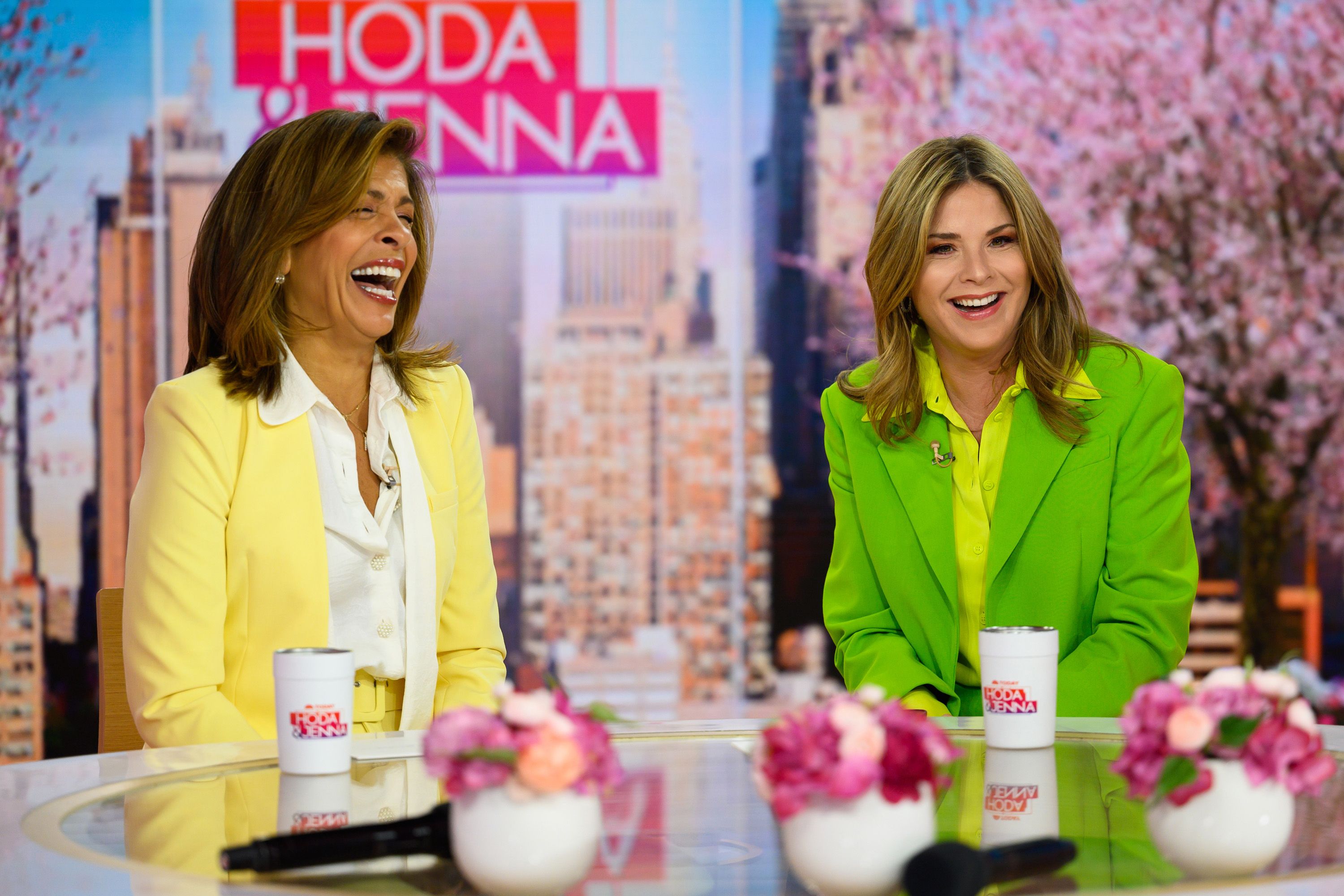 Today fans concerned after Hoda Kotb shares cryptic quote about living in  cages one year after split from fiancé Joel  The US Sun