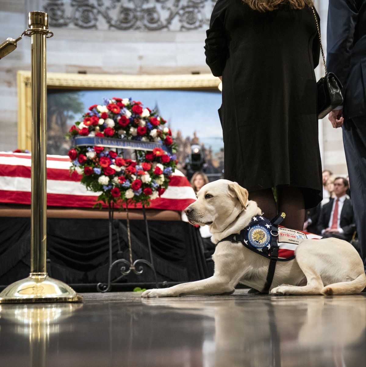 What Sully, George H.W.'s Service Dog, Is Up to Now