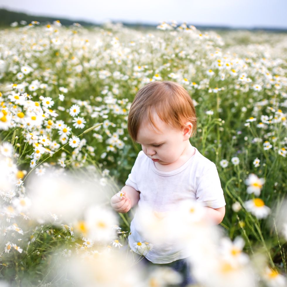 april baby names daisy