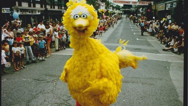 big bird runs down a city street in a scene from follow that bird