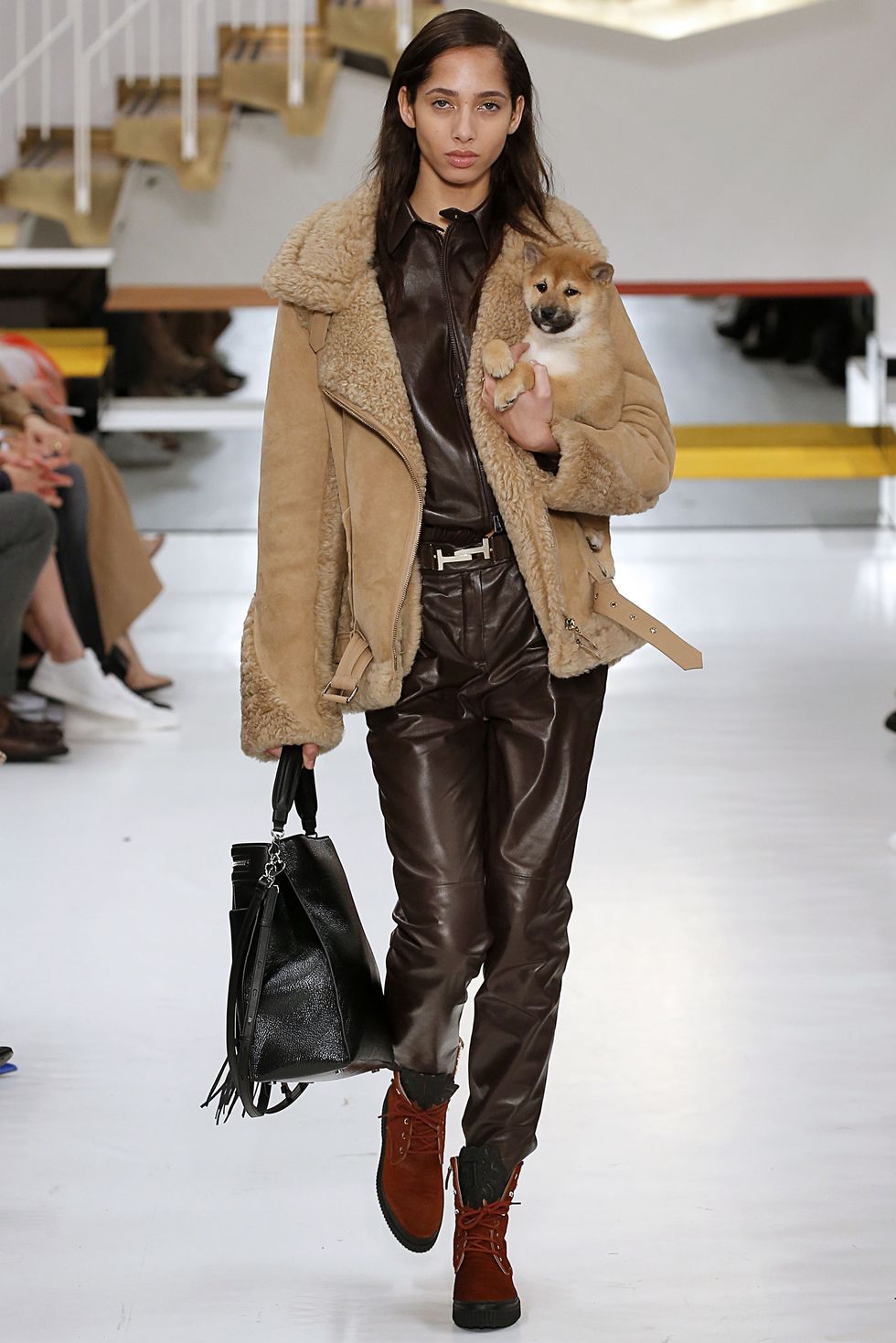 tods fall 2018 puppy