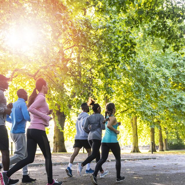 group of runners on a path in the park