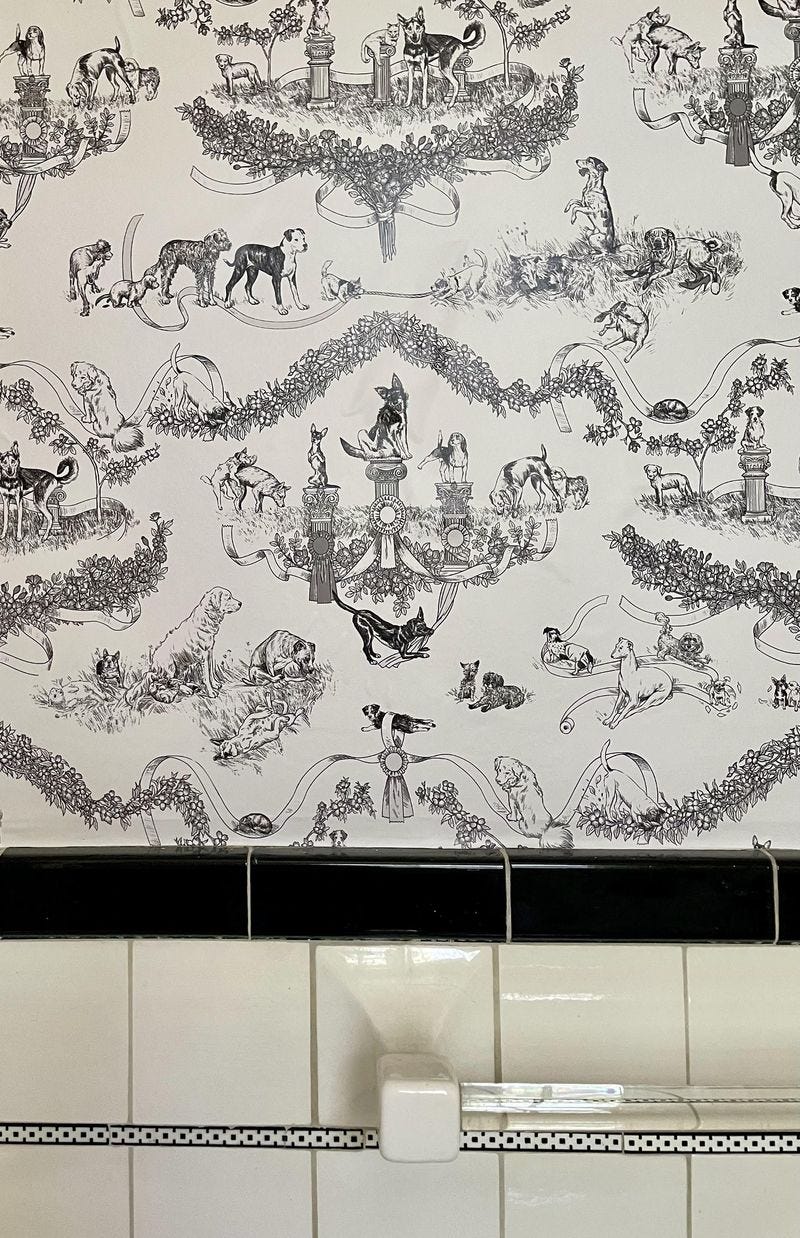 black toile dog wallpaper in a bathroom