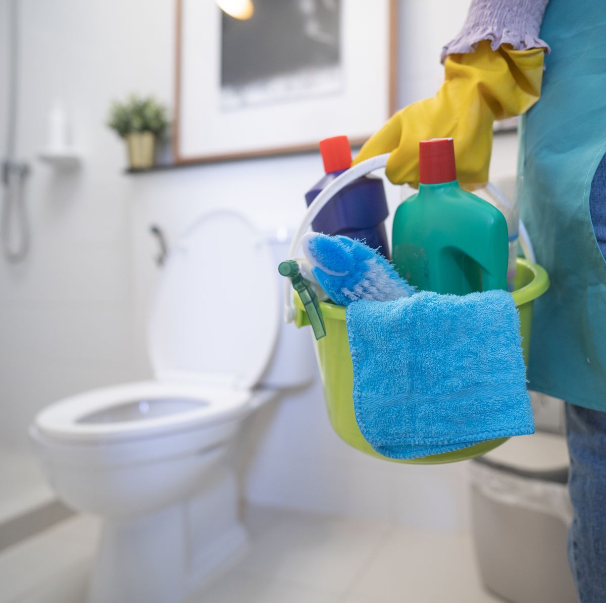 Disinfectant Toilet & Bathroom Cleaner