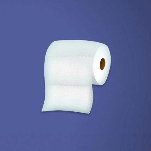 Toilet Paper Emoji