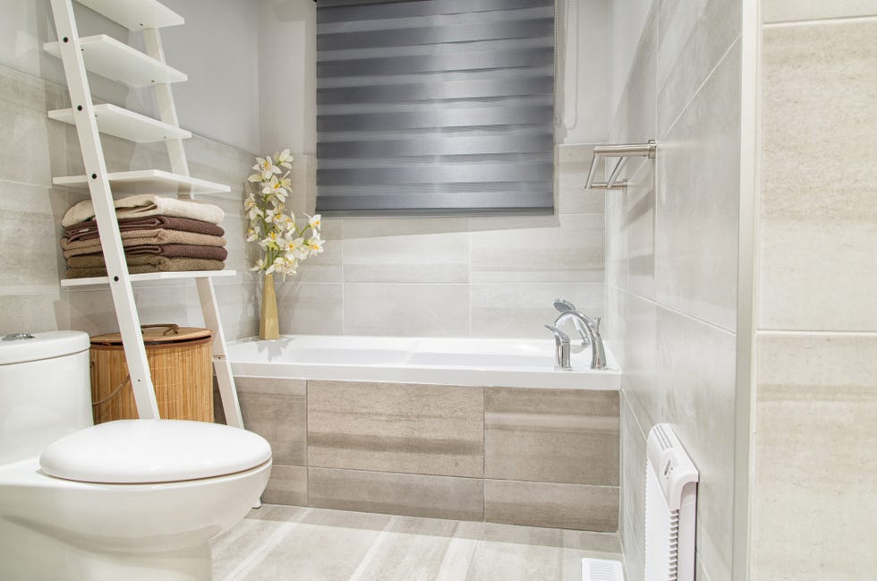 toilet pumice stone