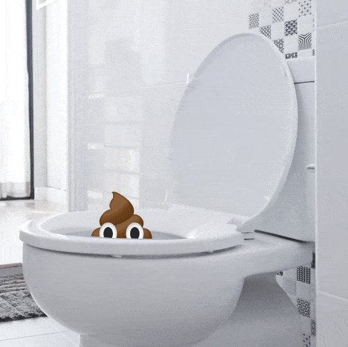 Please Close the Toilet Lid When You Flush - 