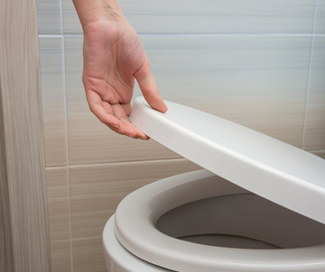 toilet seat up or down