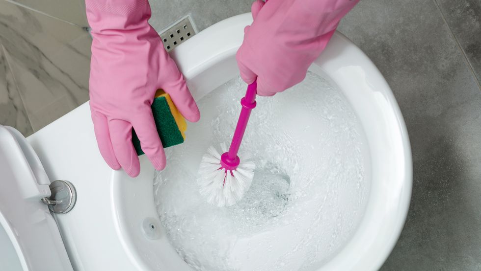 toilet bowl cleaning, hand wearing gloves while cleaning a white toilet