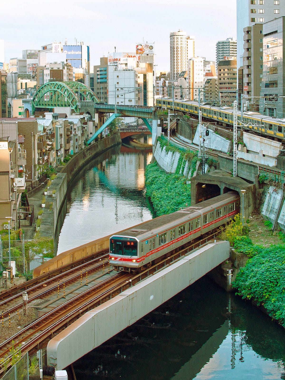 Tokyo, che passione! Il racconto di un'italiana felicemente trapiantata in  Giappone - Gazzetta del Sud