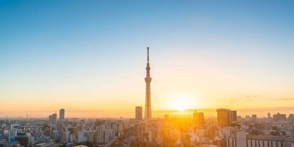 tokyo skyline at sunrise