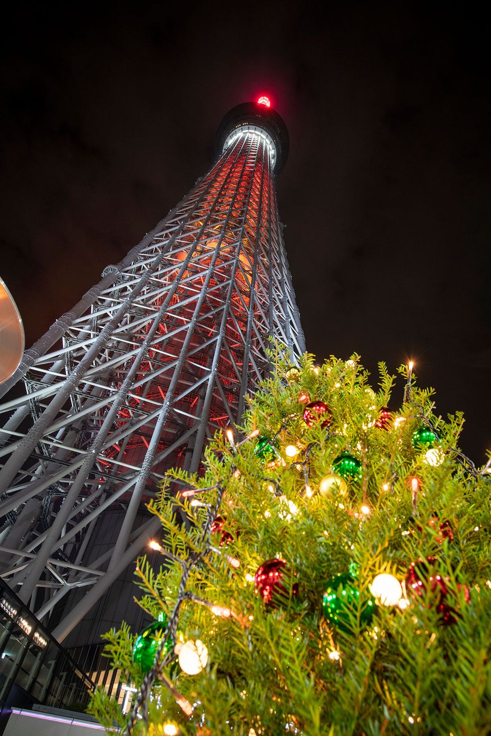 東京近郊で見逃せないクリスマスイルミネーション2020　