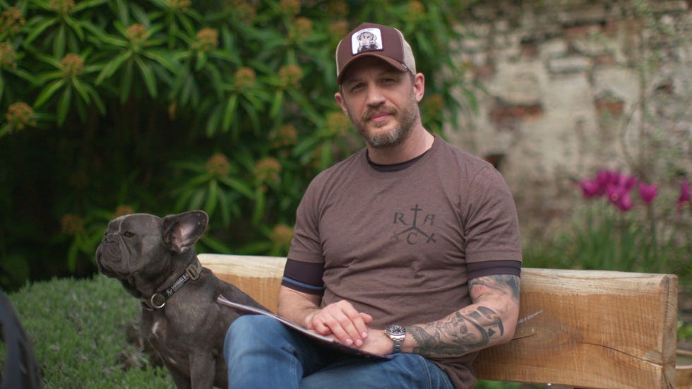 tom hardy