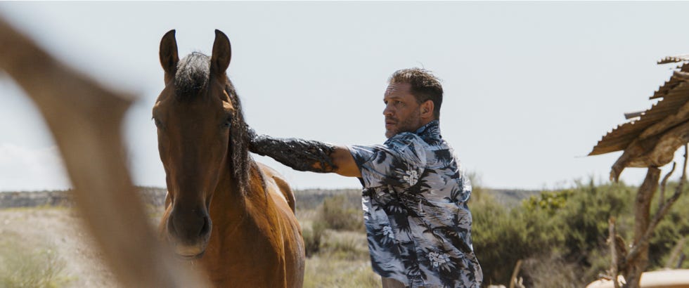 Tom Hardy, Venom, The Last Dance