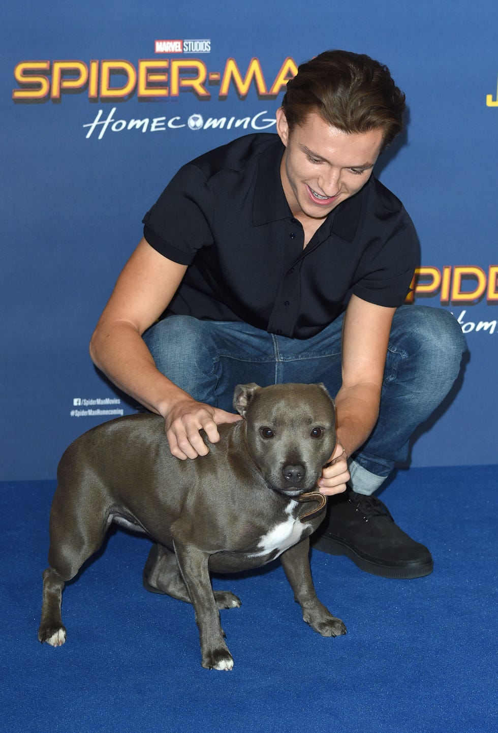 Tom Holland pays tribute to family dog after death