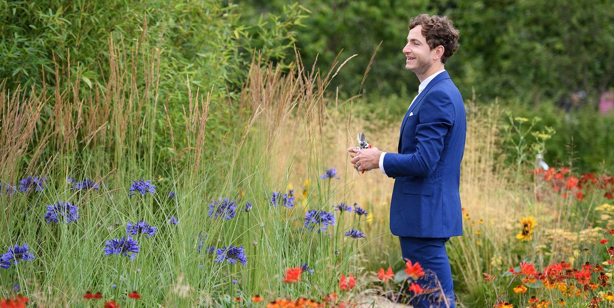 Who is Tom Massey, the garden designer making history at the Chelsea Flower Show?
