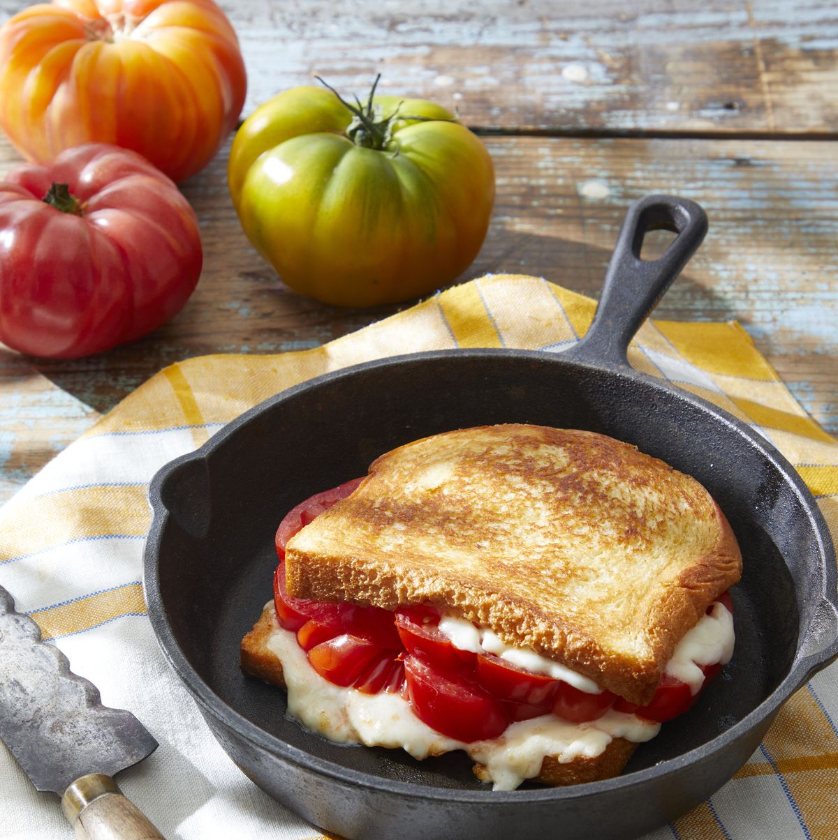 https://hips.hearstapps.com/hmg-prod/images/tomato-and-fontina-grilled-cheese-645004fad9f2a.jpg?crop=1.00xw:0.803xh;0,0.0949xh&resize=1200:*