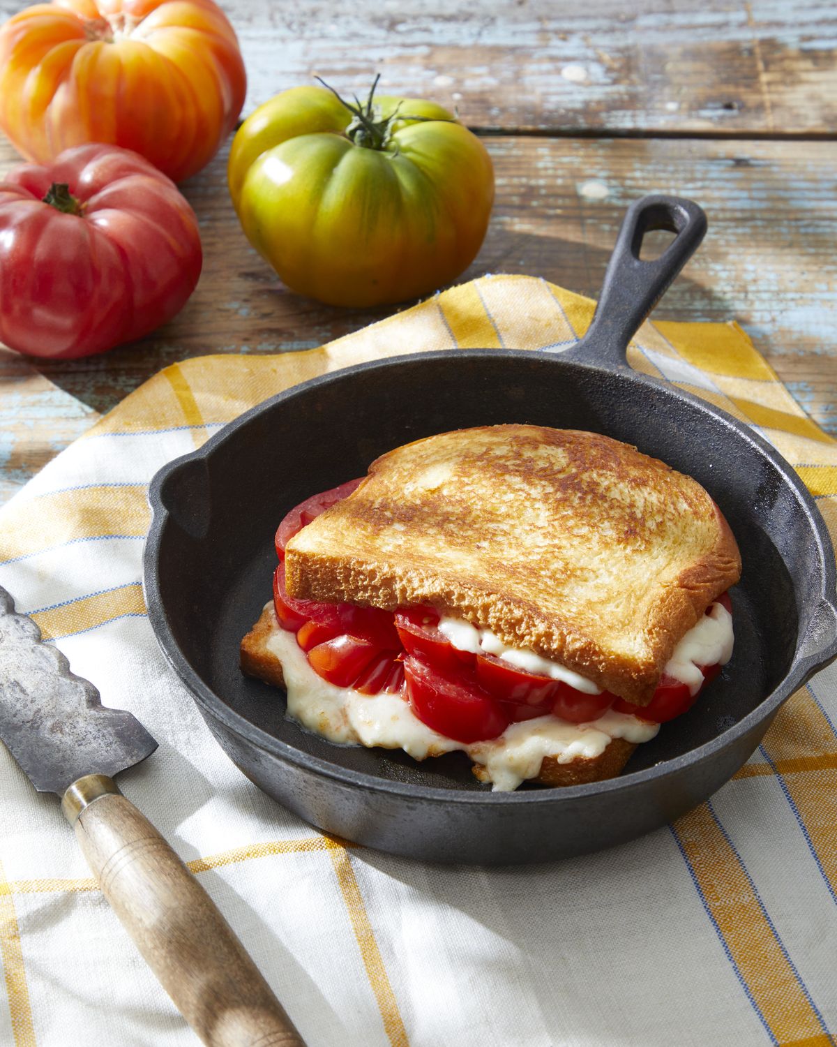 tomato and fontina grilled cheese