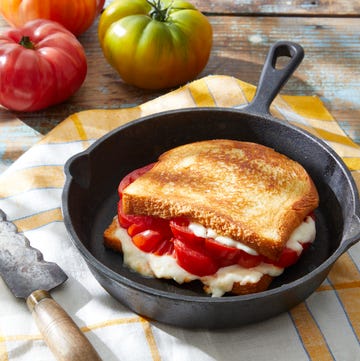 tomato and fontina grilled cheese