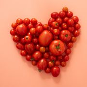 tomato love
