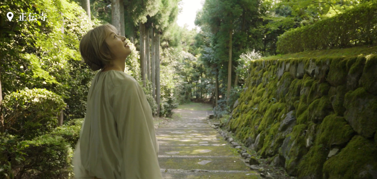Amazon.co.jp: 山口智子の旅シリーズ 山口智子 ゴッホへの旅 ~私