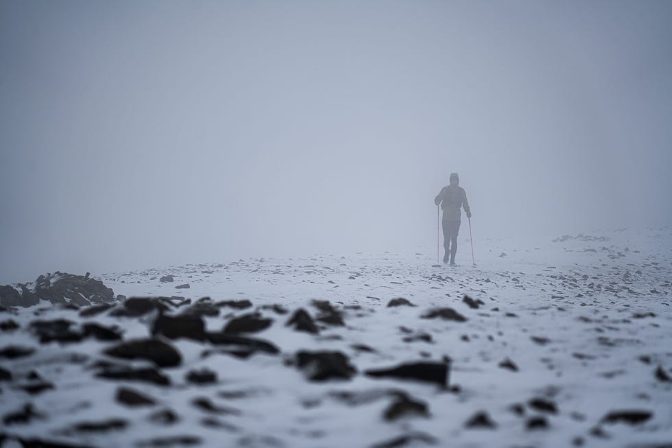 tom hollins winter wainwright