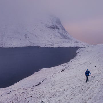 Tom Hollins winter wainwright tom hollins winter wainwright