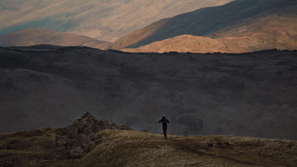 tom hollins winter wainwright