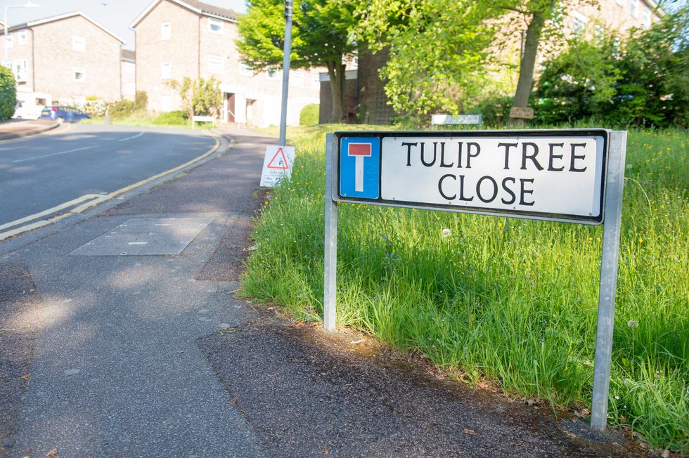 Tonbridge - Tulip Tree Close - Royal Mail