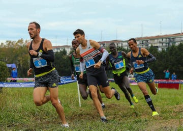 El circuito mundial del Cross Country Tour se cierra este sábado en Eldoret, una carrera en homenaje a la asesinada Agnes Tirop con Gidey, Obiri, Kamworor...