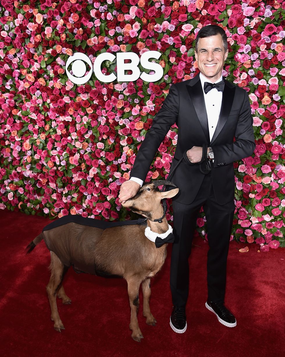 Tony Awards 2018 Goat Red Carpet Moment