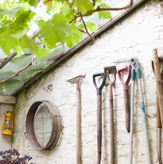 Garden Scissors - Kent & Stowe Tools Garden Health 