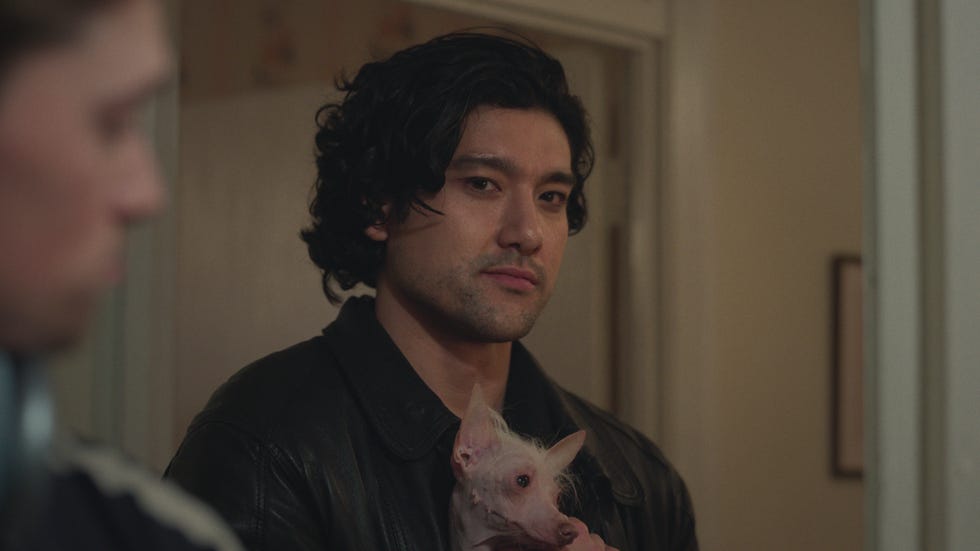 person holding a small uniquelooking dog in a room