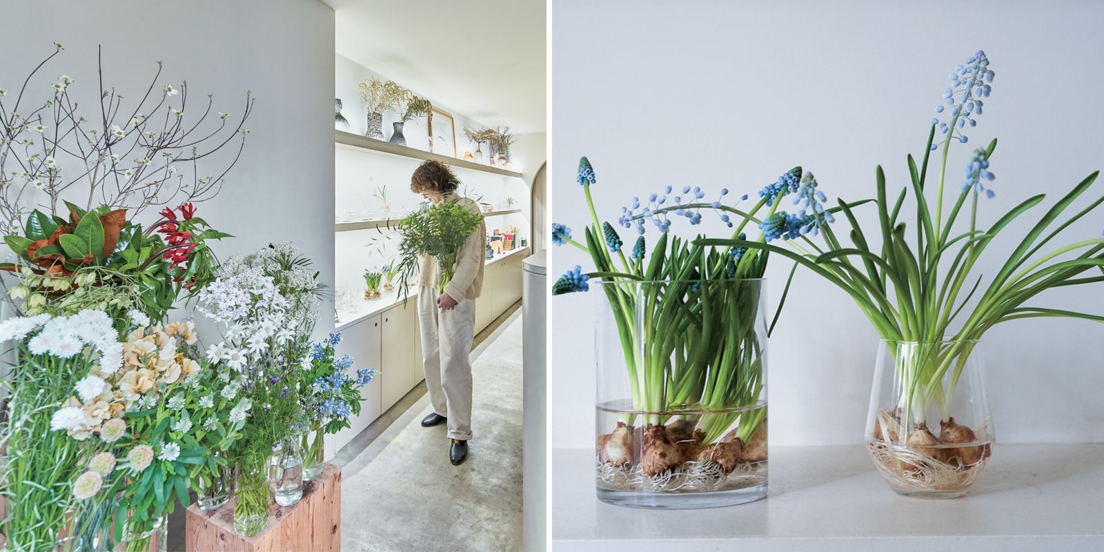 作家 シモーヌ・アレ 作品名 卓上の花 （ささやかな草花の魅力を