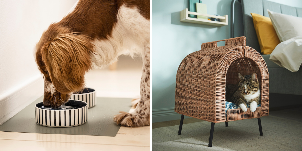 デザインとコスパを備えた「イケア」のおすすめ犬猫グッズ11