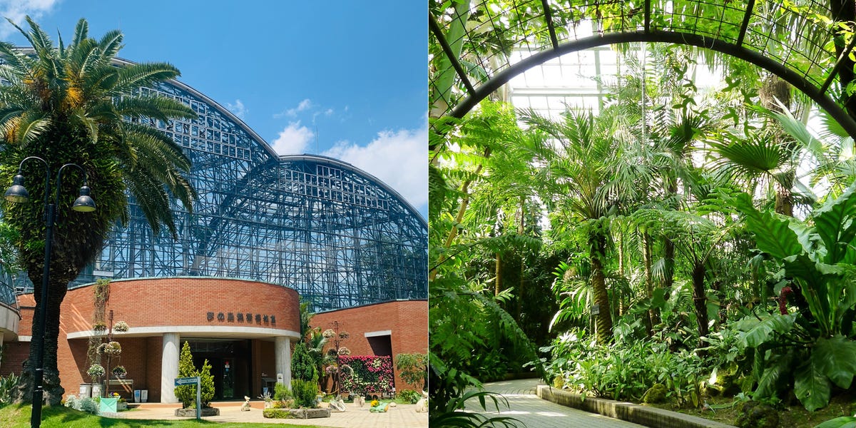 植物園 