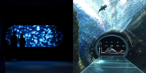 水族館 日本 おしゃれ インテリア デザイン 建築