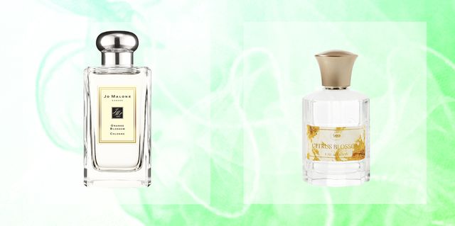 Perfume, Product, Water, Glass bottle, Liquid, Bottle, Fluid, Cosmetics, Solution, 