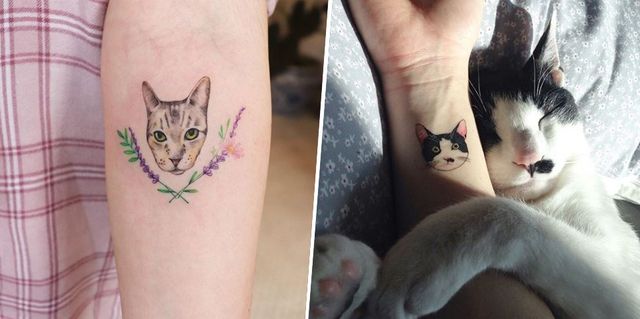 Tattoo, Arm, Temporary tattoo, Felidae, Whiskers, Cat, Leg, Hand, Carnivore, 