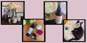 Product, Beauty, Bottle, Glass bottle, Liquid, Wine bottle, 