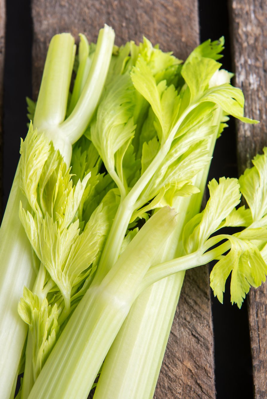 summer foods celery