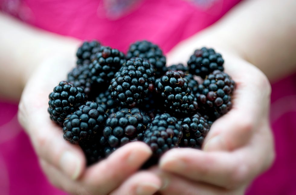 summer foods blackberries